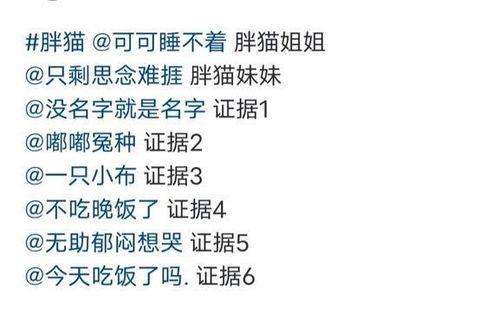 胖猫事件爆料最新消息,揭秘背后惊人真相